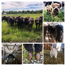 Load image into Gallery viewer, Founder's Farm Tour