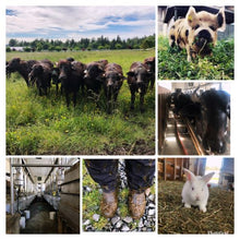 Load image into Gallery viewer, Founder's Farm Tour